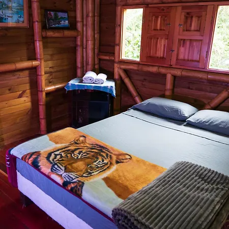 Habitacion En Hospedaje Campestre Compartido Tipo Hostal En Santa Elena Cerca A Medellin Y Aeropuerto Jmc - Cabana Aru